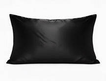 Silk Zippered Pillowcase~award winning pure mulberry silk