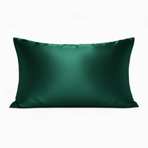 Silk Zippered Pillowcase~award winning pure mulberry silk