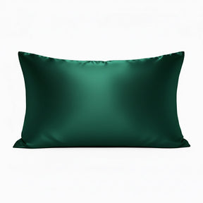 Silk Zippered Pillowcase~award winning pure mulberry silk