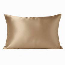 Silk Zippered Pillowcase~award winning pure mulberry silk