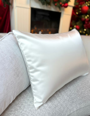 Silk Zippered Pillowcase~award winning pure mulberry silk